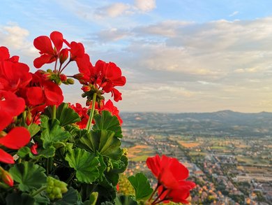 Wanderreise - Von Assisi nach Rom auf dem Franziskusweg