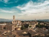 Michelangelo International Travel