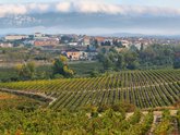 Michelangelo International Travel