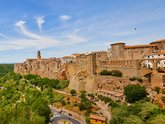 Michelangelo International Travel