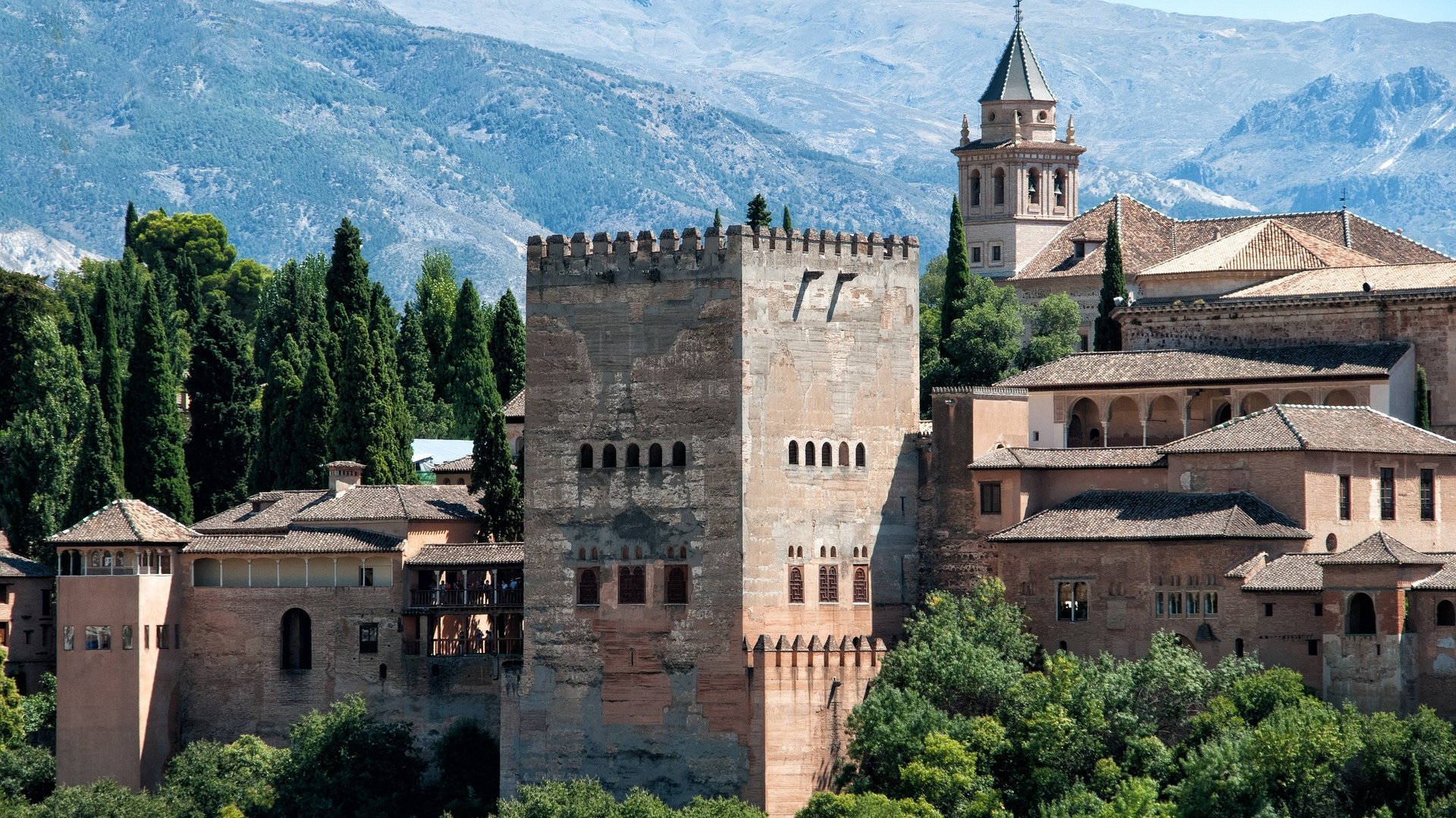 Olive Harvest Tour in Andalusia with Michelangelo International Travel Olive Harvest Tour in Andalusia with Michelangelo International Travel
