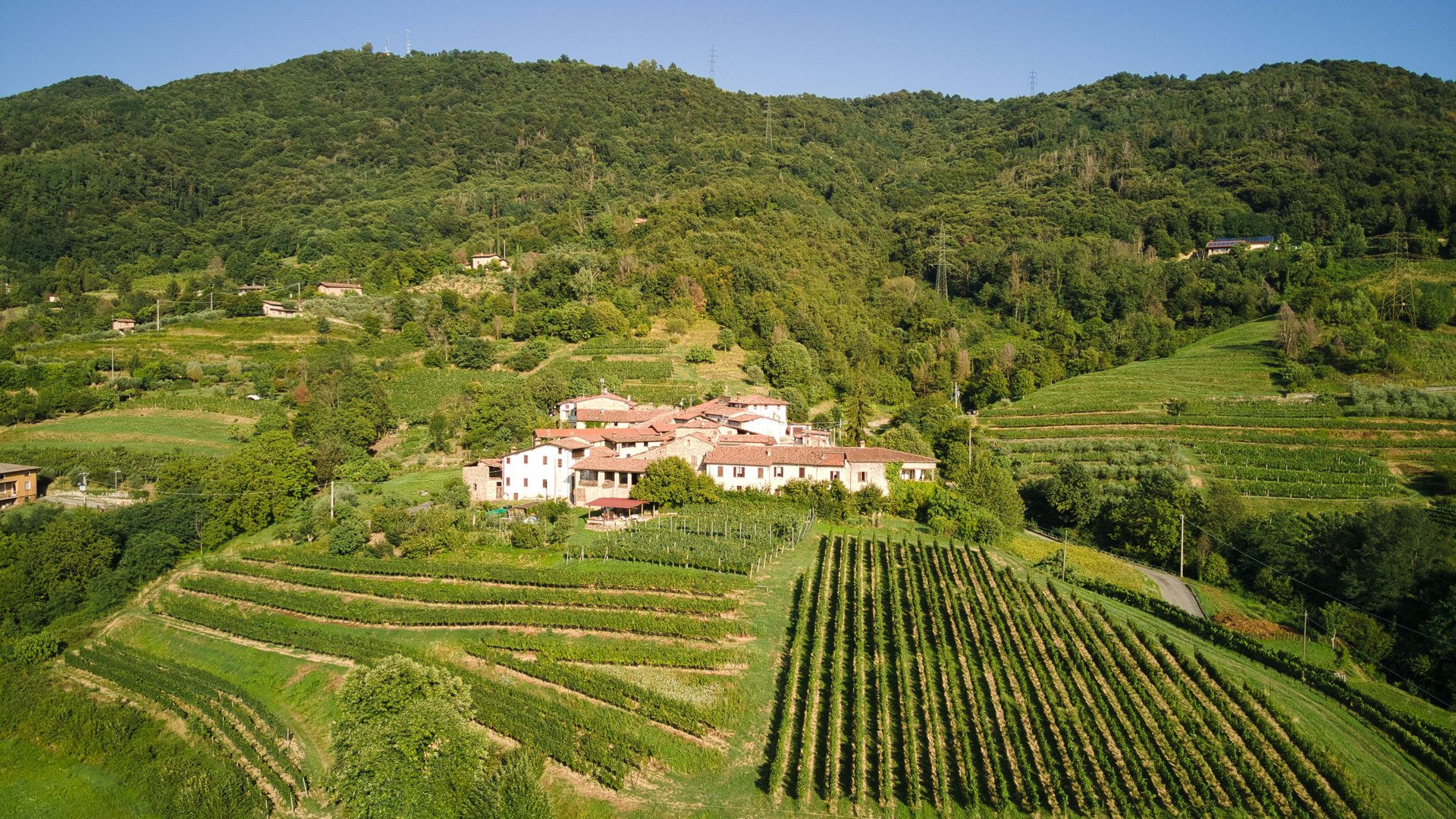 Wines of Northern Italy | Lake Como, Langhe, Verona | 8-Day Group Tour