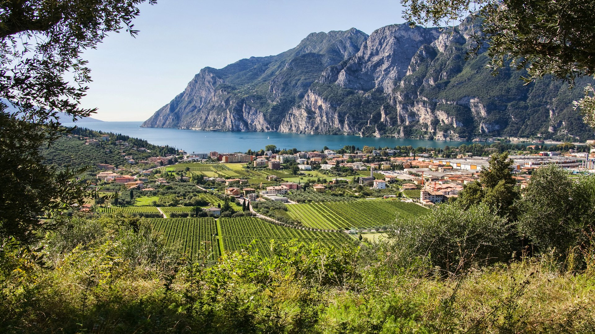 Food & Wine Tours in Northern Italy & Lake Garda Food & Wine Tours in Northern Italy & Lake Garda