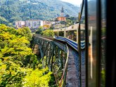 Michelangelo International Travel