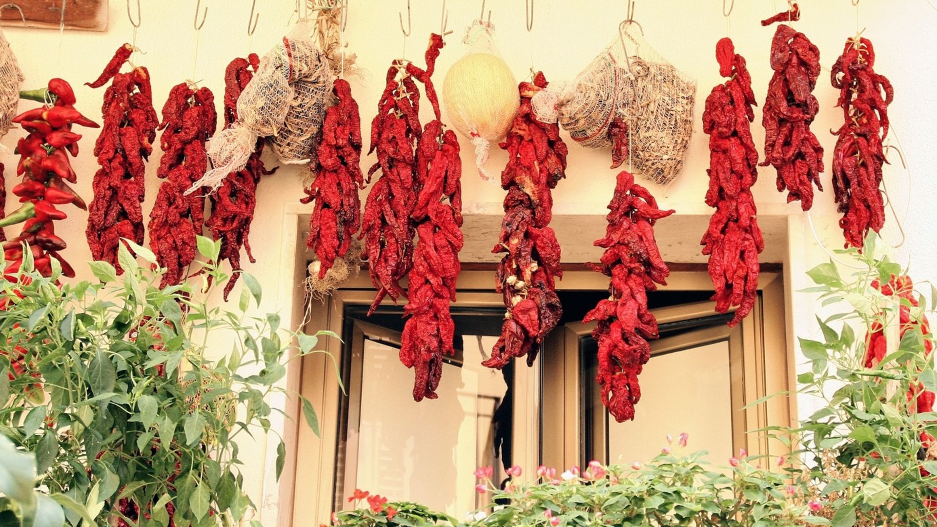 Basilicata - Dal Parco del Pollino alla Riviera dei Cedri