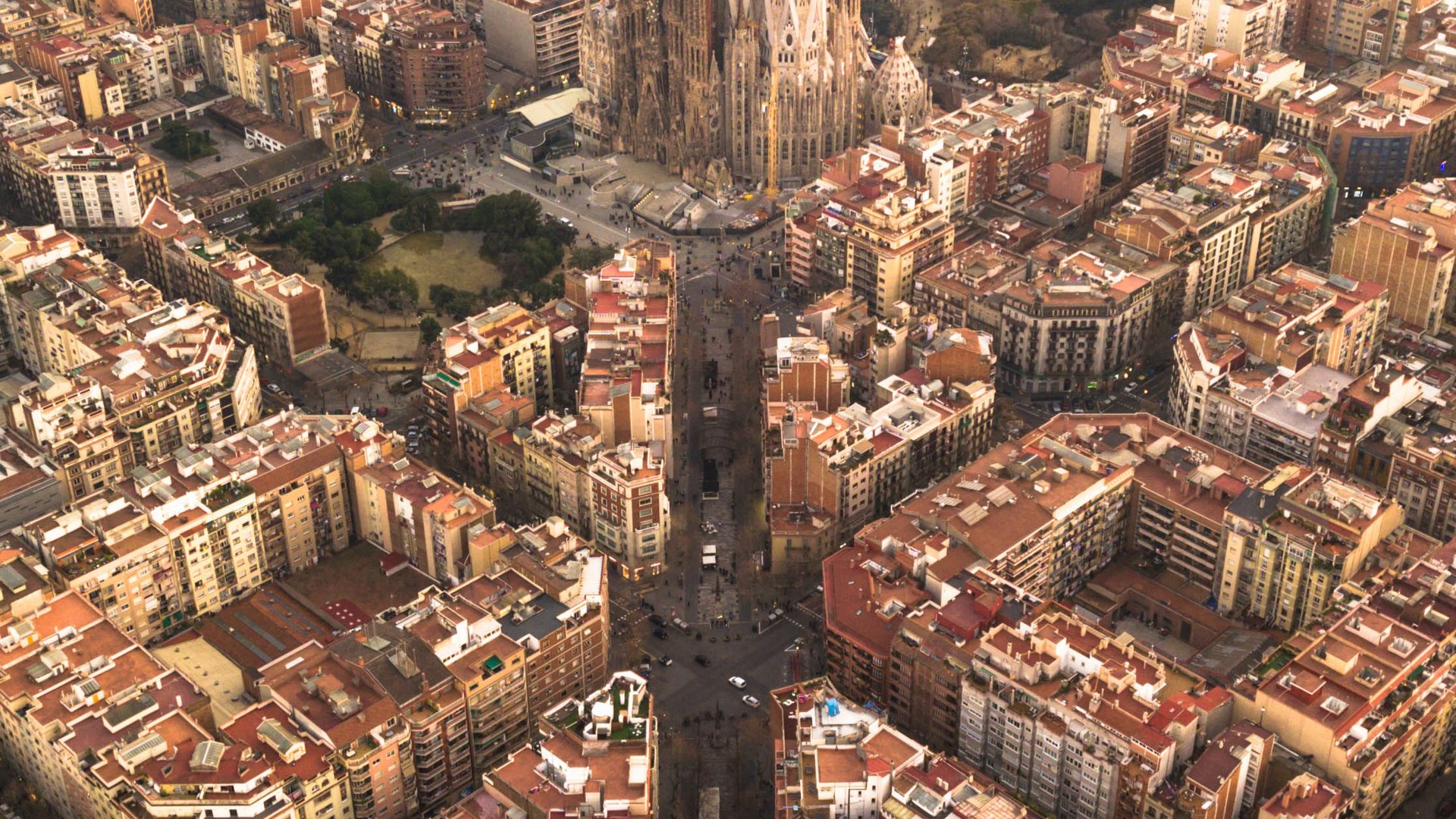 Group Tour Experiences: Olive Harvest Tour in Catalonia & Barcelona