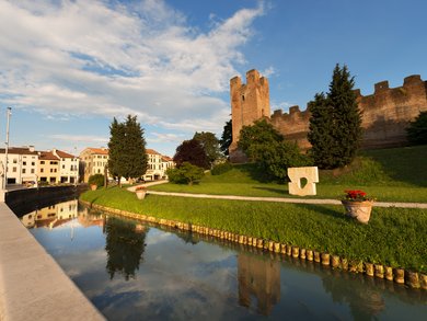 Toscana - Lucca e le camelie della Lucchesia Toscana - Lucca e le camelie della Lucchesia
