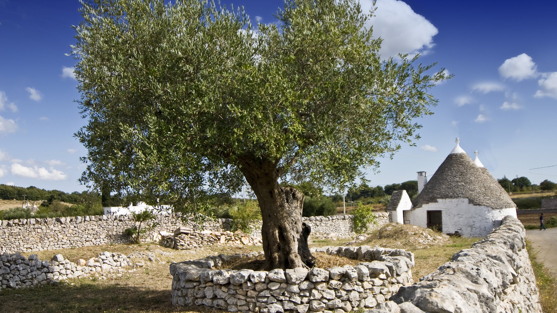 Puglia Walking Tour - Salento & Matera | Ground Services & Italy DMC