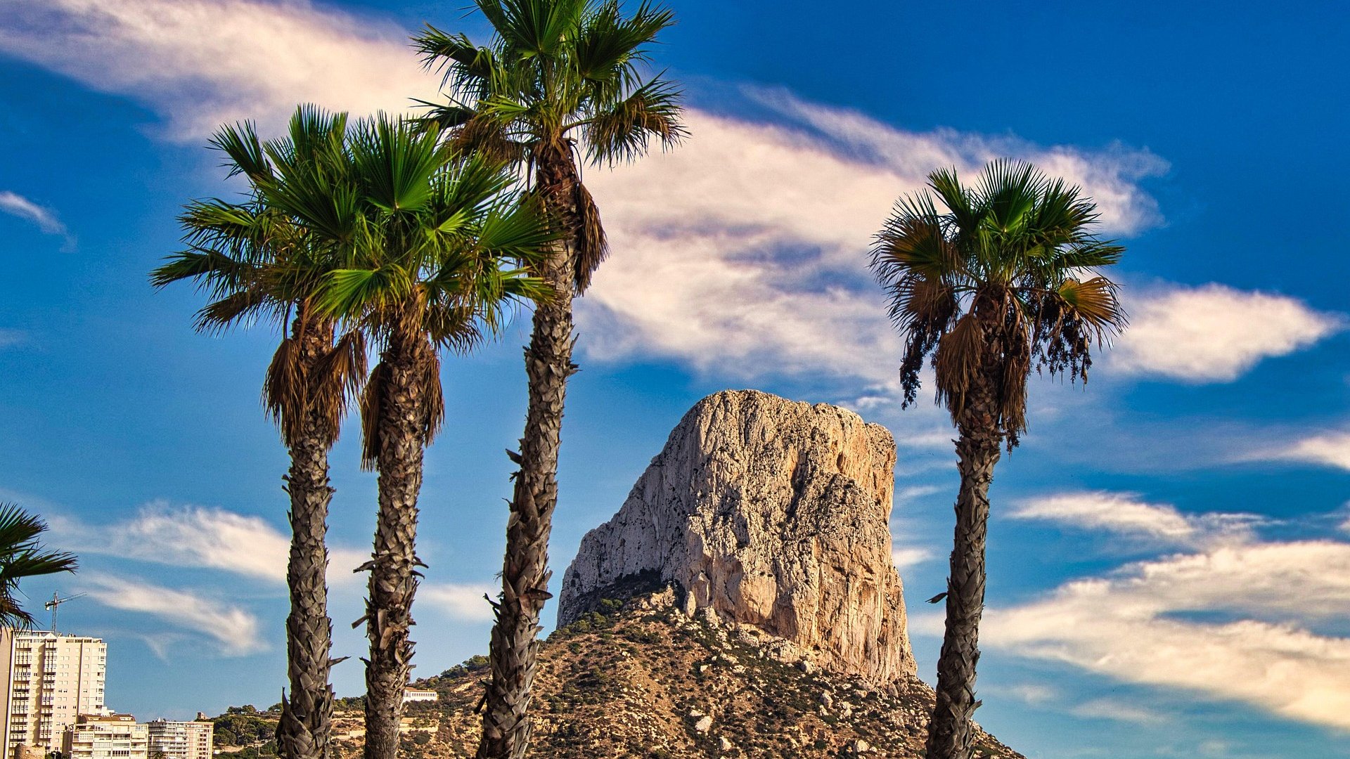 Hands-On Orange Picking & Valencia Highlights – Iberian DMC Hands-On Orange Picking & Valencia Highlights – Iberian DMC