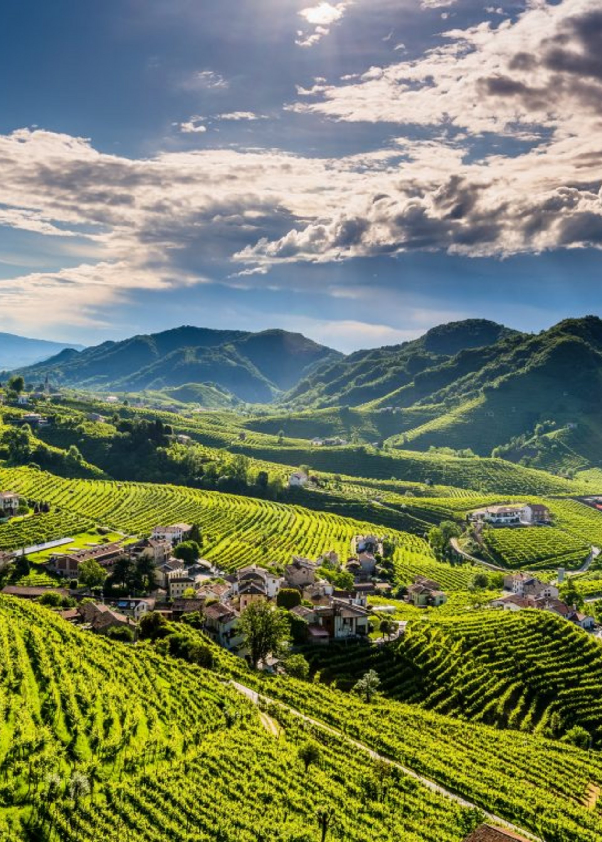 DMC for Venice, Veneto & Friuli Group Tours | michelangelo.travel