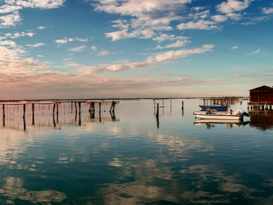 Sonderaktion November | Venetien - 4* Bonotto Hotel Palladio Sonderaktion November | Venetien - 4* Bonotto Hotel Palladio