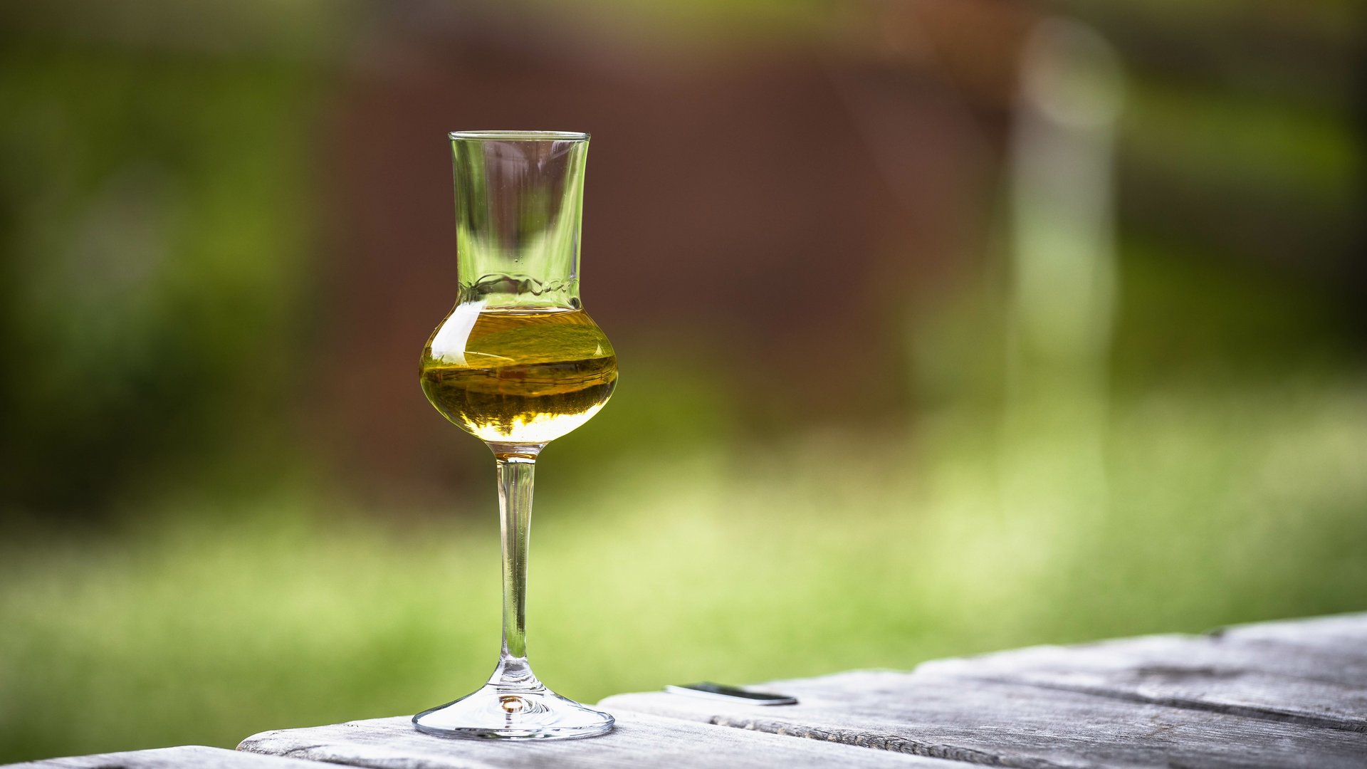 Sonderaktion November | Gardasee - 3* Ventus Park Hotel