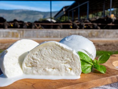 Sicilia - Week-end di gusto a Palermo Sicilia - Week-end di gusto a Palermo