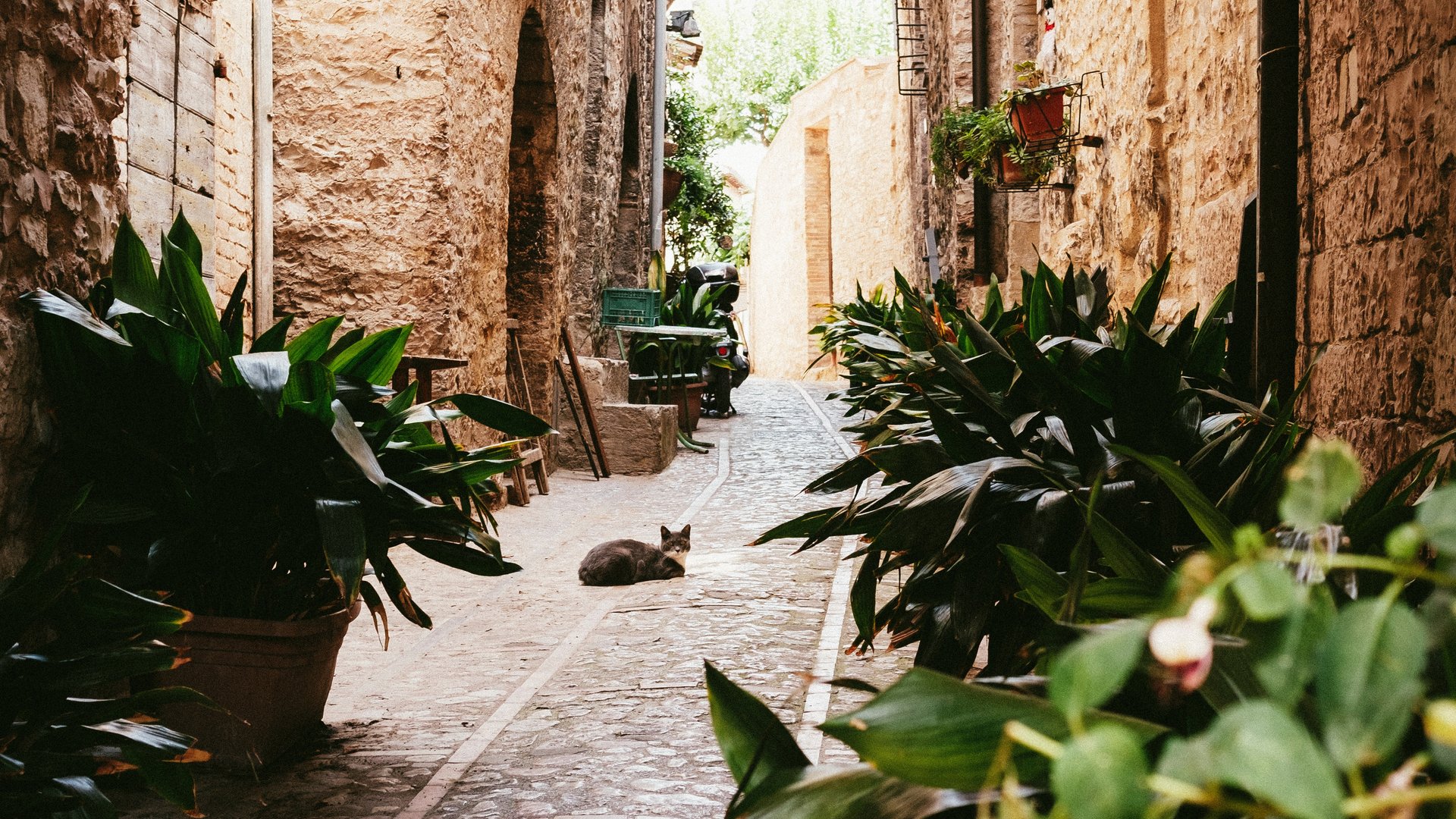 Umbria - Umbria in fiore