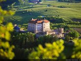 Michelangelo International Travel