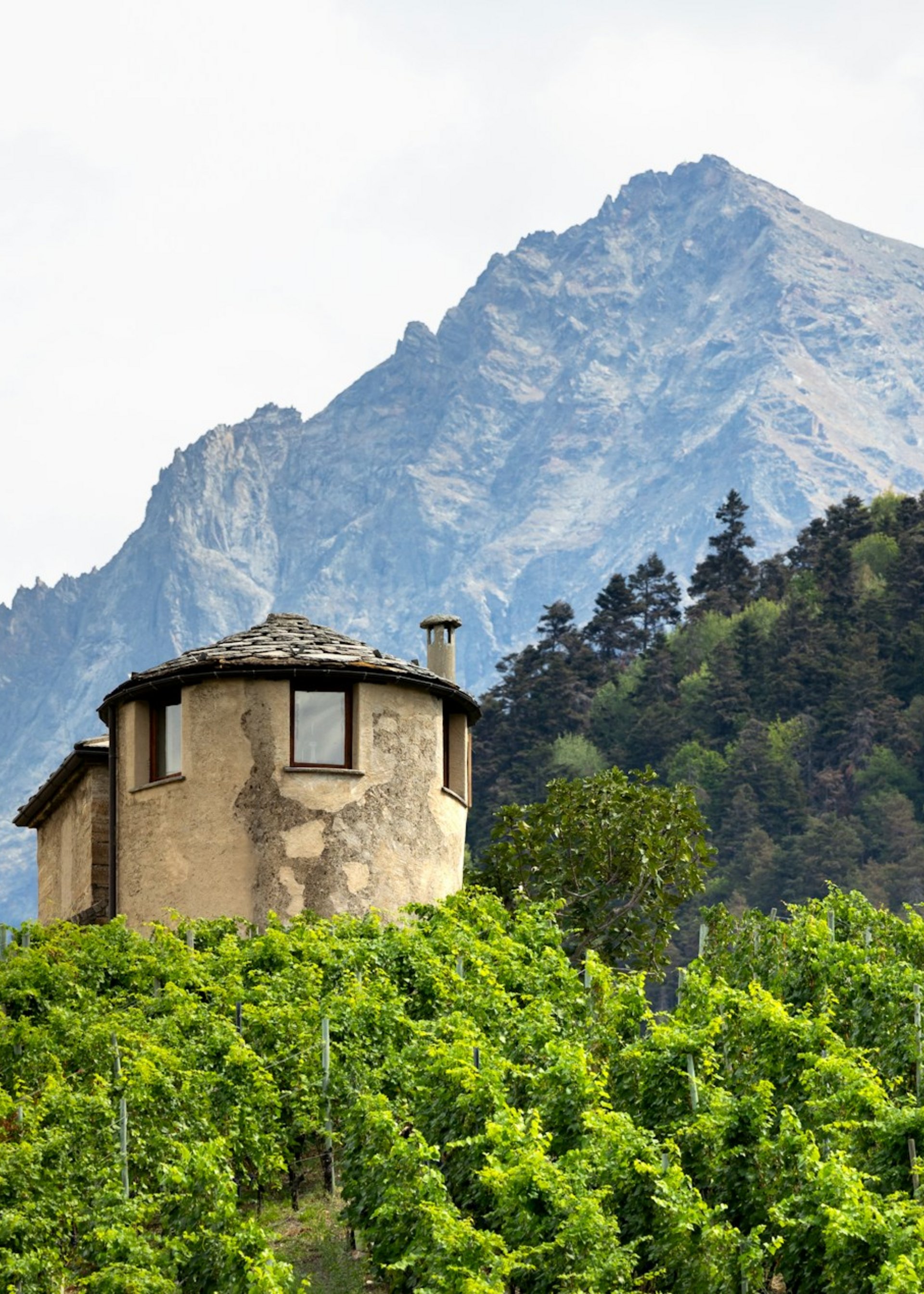 Piedmont Tours | Italy DMC & B2B Full-Service Provider of Group Tour Packages