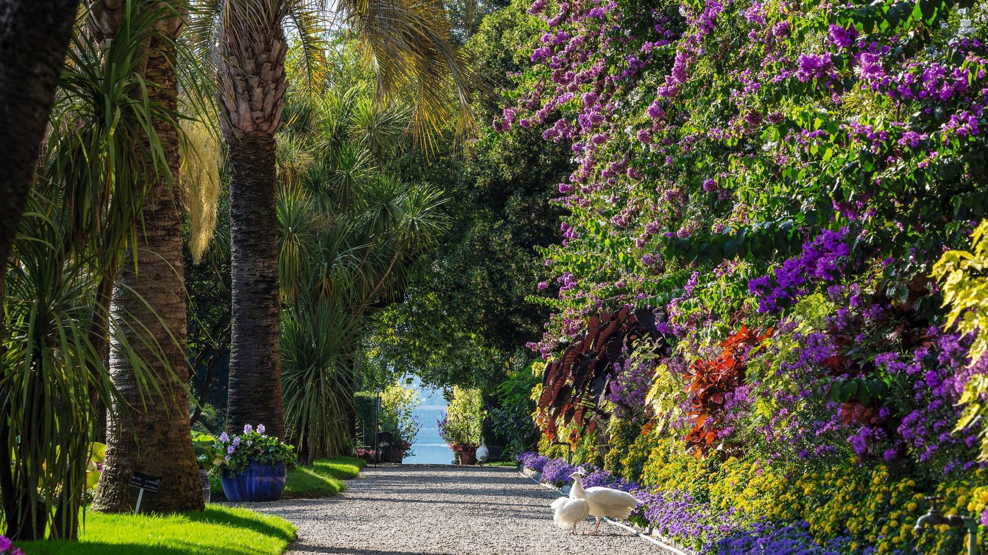 Sonderaktion November | Lago Maggiore - 3* Hotel Il Chiostro