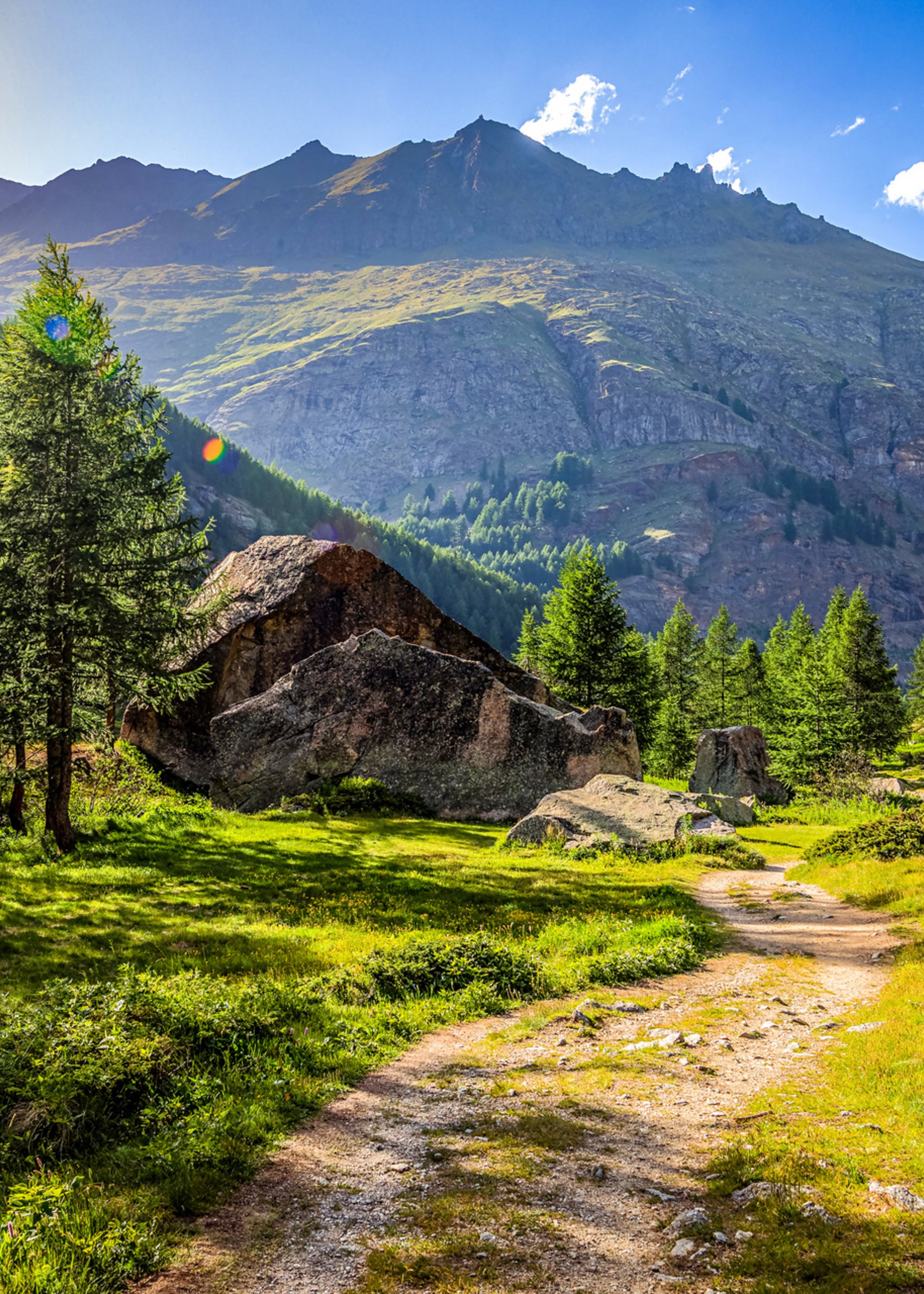 Piedmont Tours | B2B Full-Service Provider of Group Tour Packages