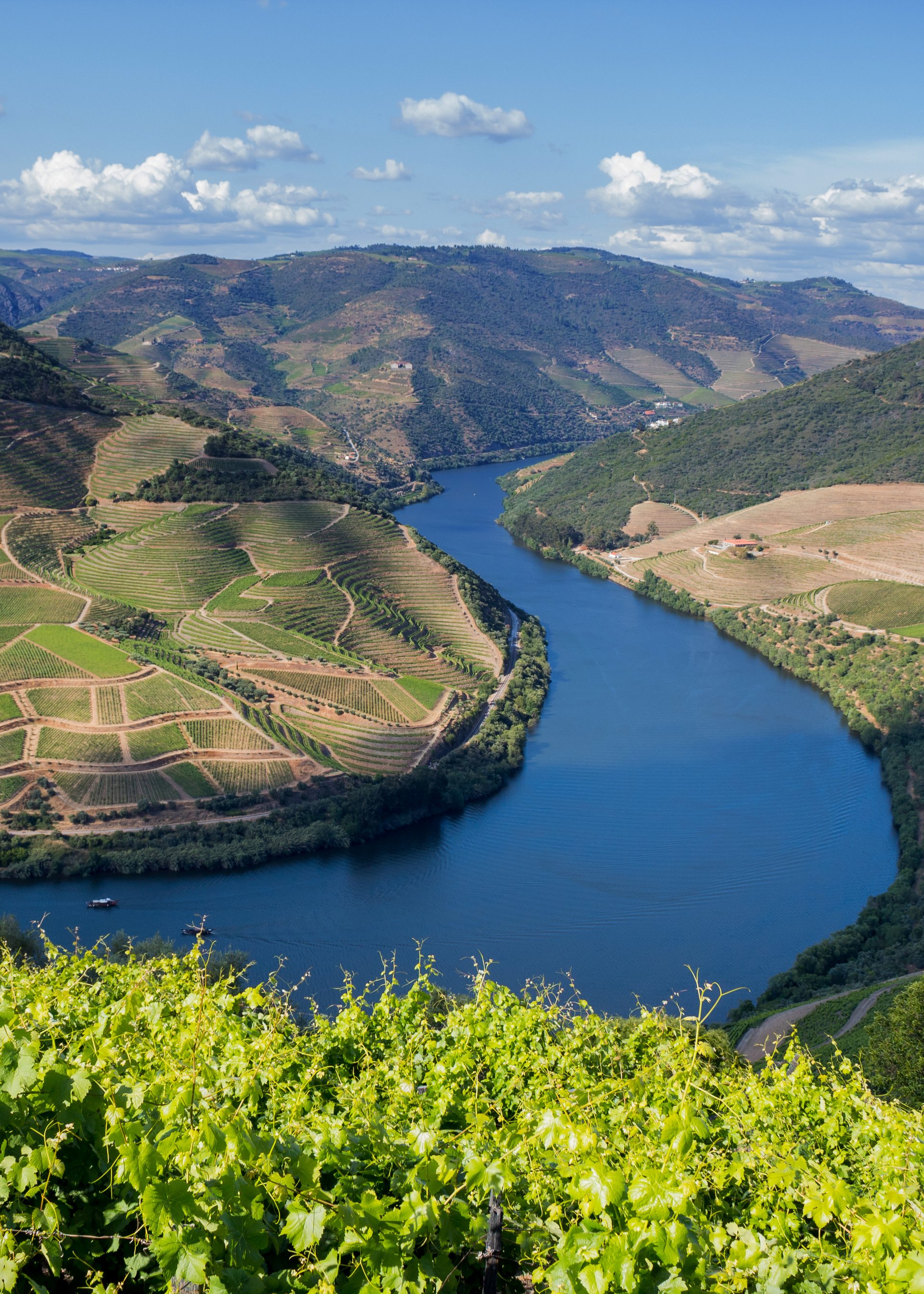 Expert DMC Portugal | Group Travel & Tailor-Made Tours by Michelangelo Iberian Travel