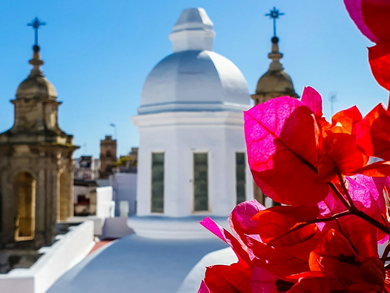 Explore our Tours by Destination | Michelangelo International Travel