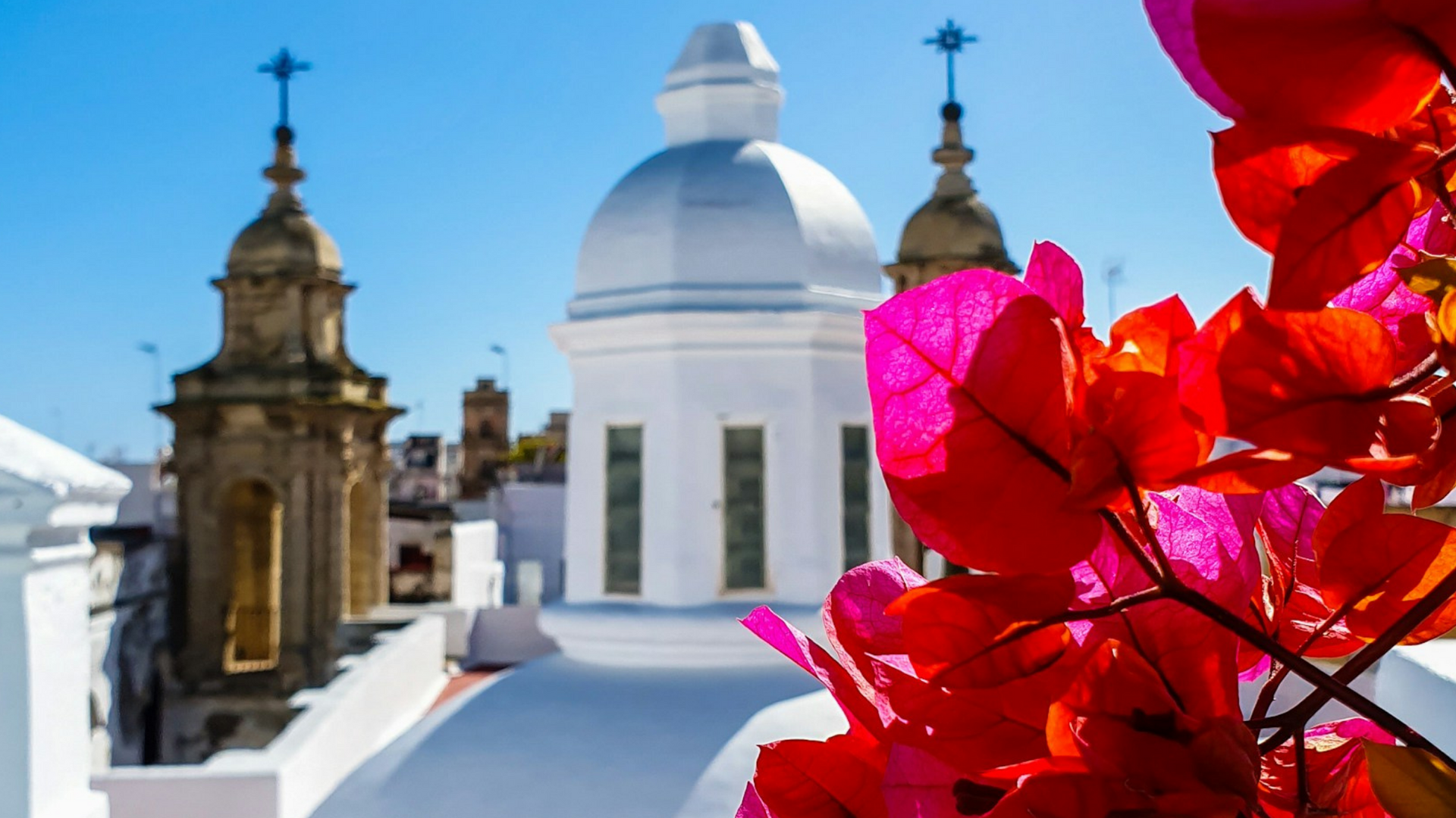 Michelangelo International Travel | Leading DMC for Italy & the Mediterranean