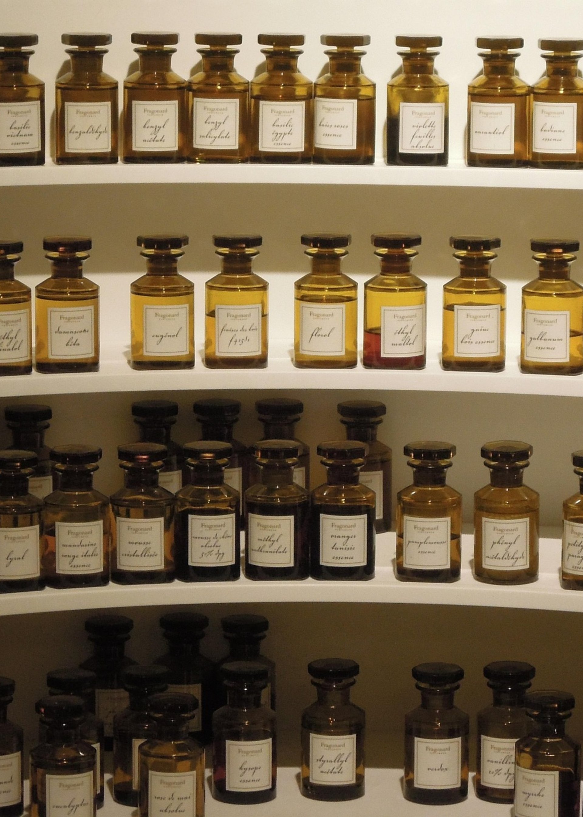 Experiences Beyond Sightseeing | DMC for Italy, Iberia, & the Med Experiences Beyond Sightseeing | DMC for Italy, Iberia, & the Med