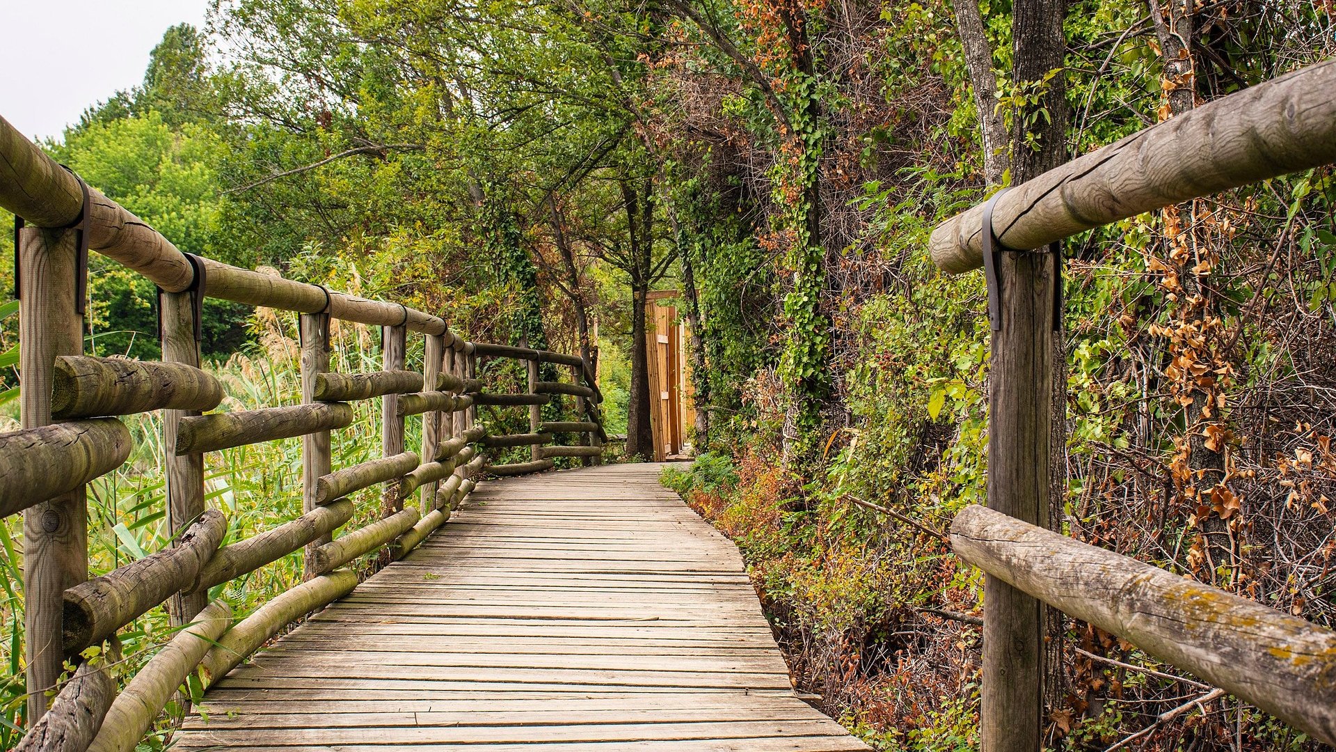 Lake Iseo Hiking Tour: Monte Isola, Alpine Views & Rock Art - DMC Italy