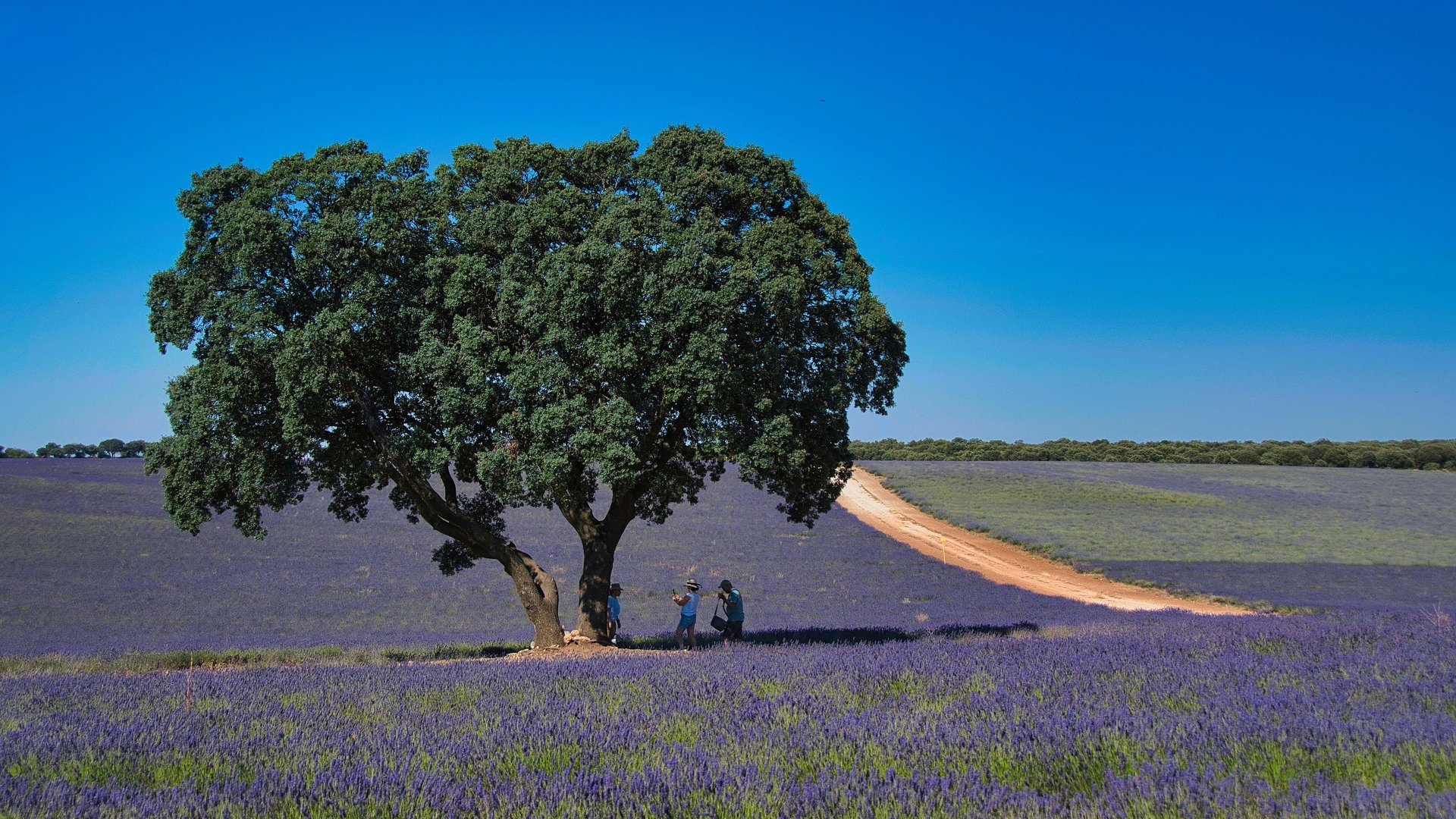 Spagna - Brihuega, Tour nella Provenza Spagnola