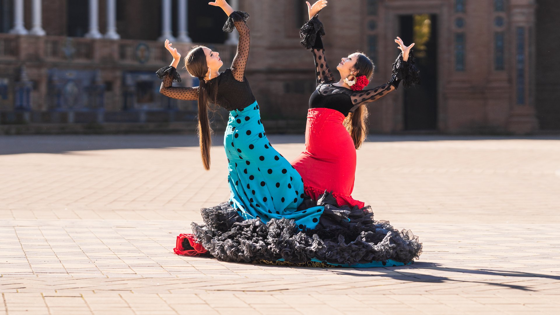 Andalusien - Olivenernte in Andalusien Andalusien - Olivenernte in Andalusien