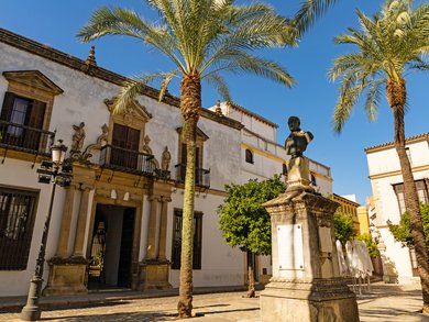 Spagna - Sapori d'Andalusia Spagna - Sapori d'Andalusia