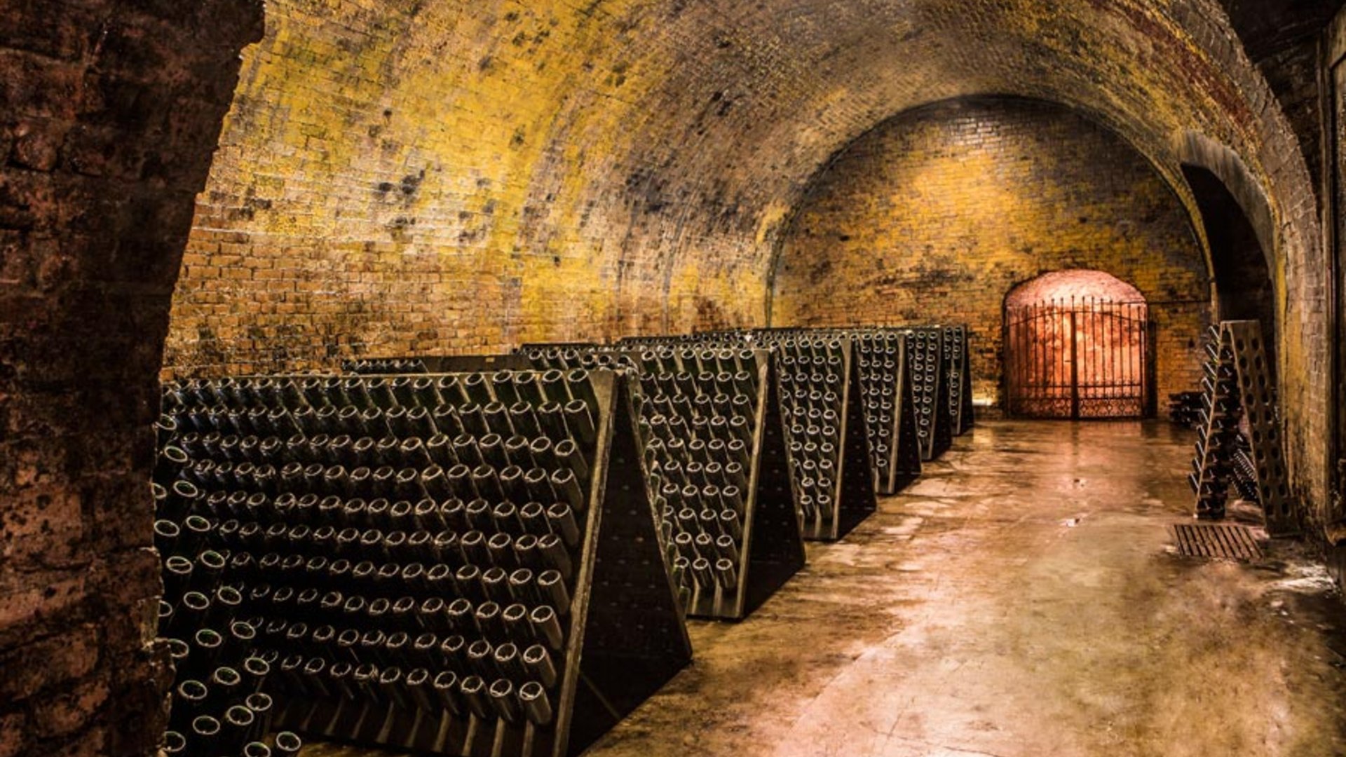 Alba Truffle Festival - A Group Tour into the Heart of Piedmont