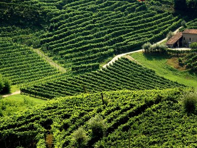 Sonderaktion November | Venetien - 4* Bonotto Hotel Palladio Sonderaktion November | Venetien - 4* Bonotto Hotel Palladio