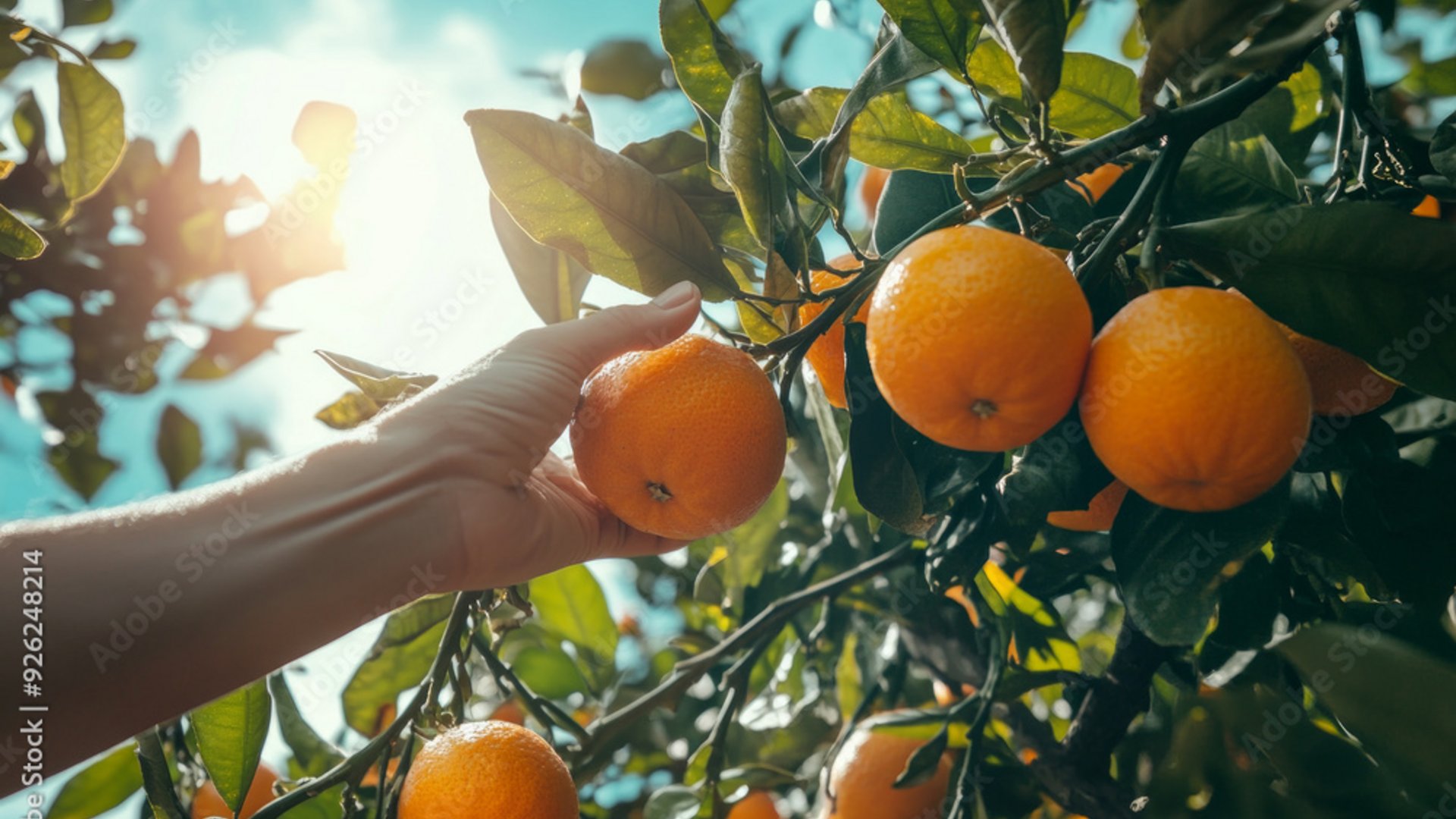 Experiences Beyond Sightseeing | DMC for Italy, Iberia, & the Med Experiences Beyond Sightseeing | DMC for Italy, Iberia, & the Med