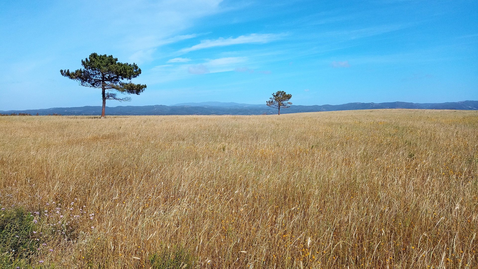 Portugal Algarve Nature & Wellness Tour – with Yoga & Guided Hikes Portugal Algarve Nature & Wellness Tour – with Yoga & Guided Hikes