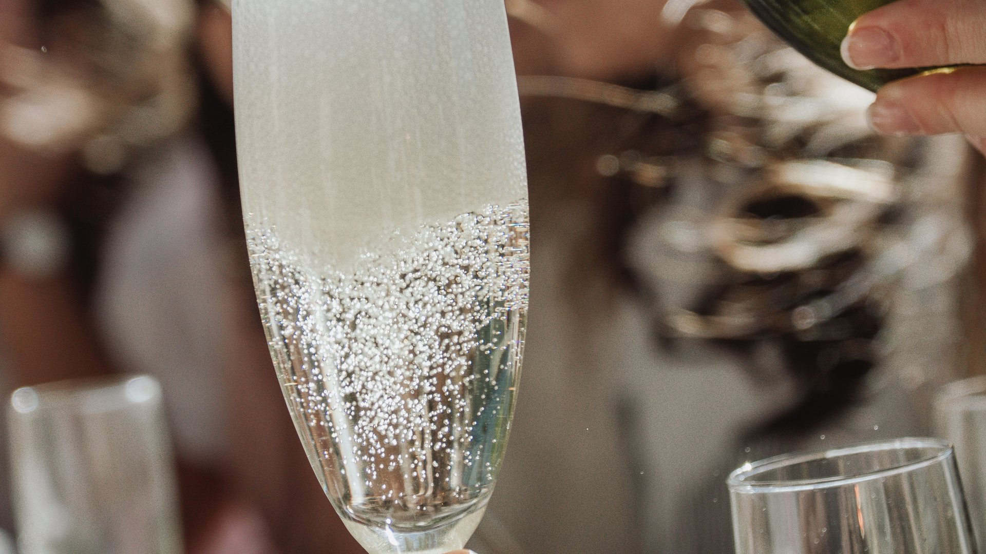 Alba Truffle Festival - A Group Tour into the Heart of Piedmont