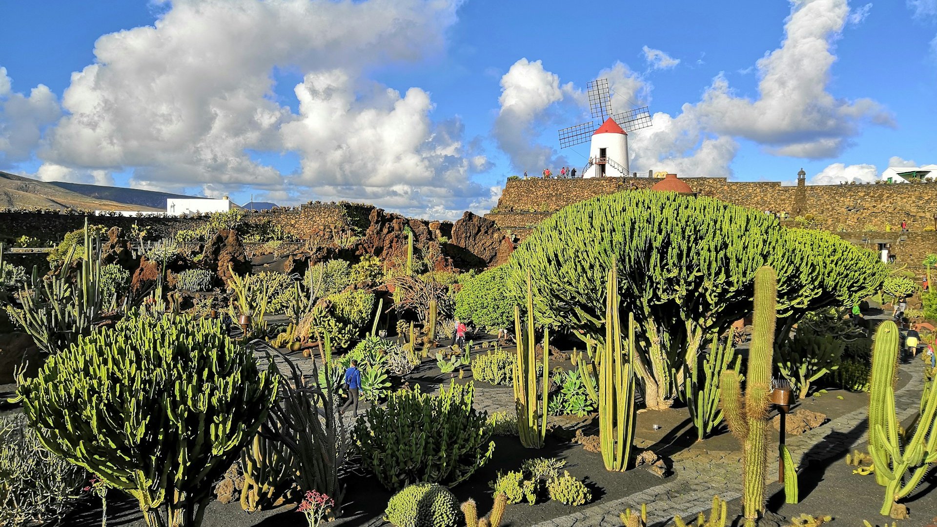 Lanzarote Hiking Tour – Ground Services for Active Travel - DMC Iberia Lanzarote Hiking Tour – Ground Services for Active Travel - DMC Iberia