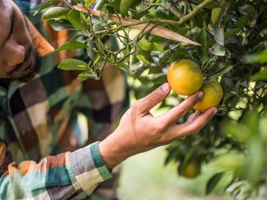 Experiences Beyond Sightseeing | DMC for Italy, Iberia, & the Med Experiences Beyond Sightseeing | DMC for Italy, Iberia, & the Med