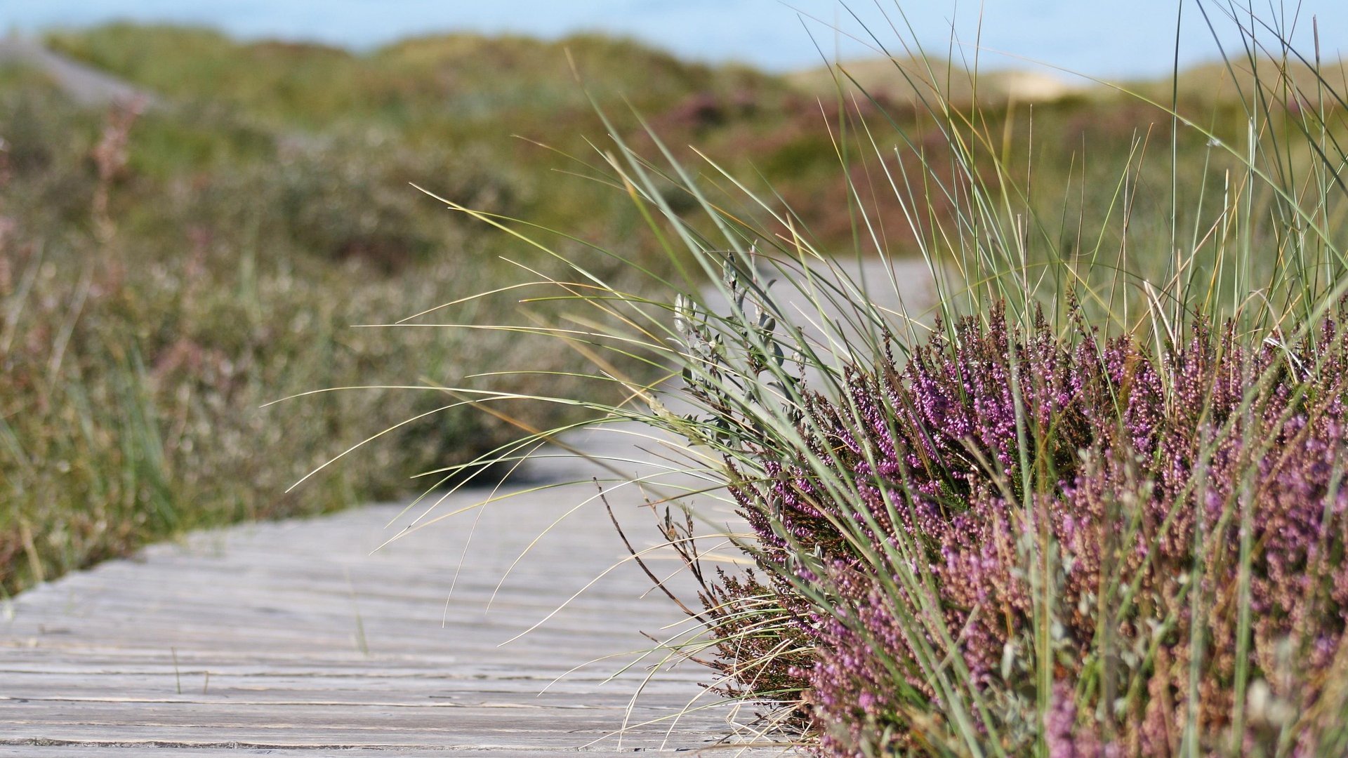 Lanzarote Hiking Tour – Ground Services for Active Travel - DMC Iberia Lanzarote Hiking Tour – Ground Services for Active Travel - DMC Iberia