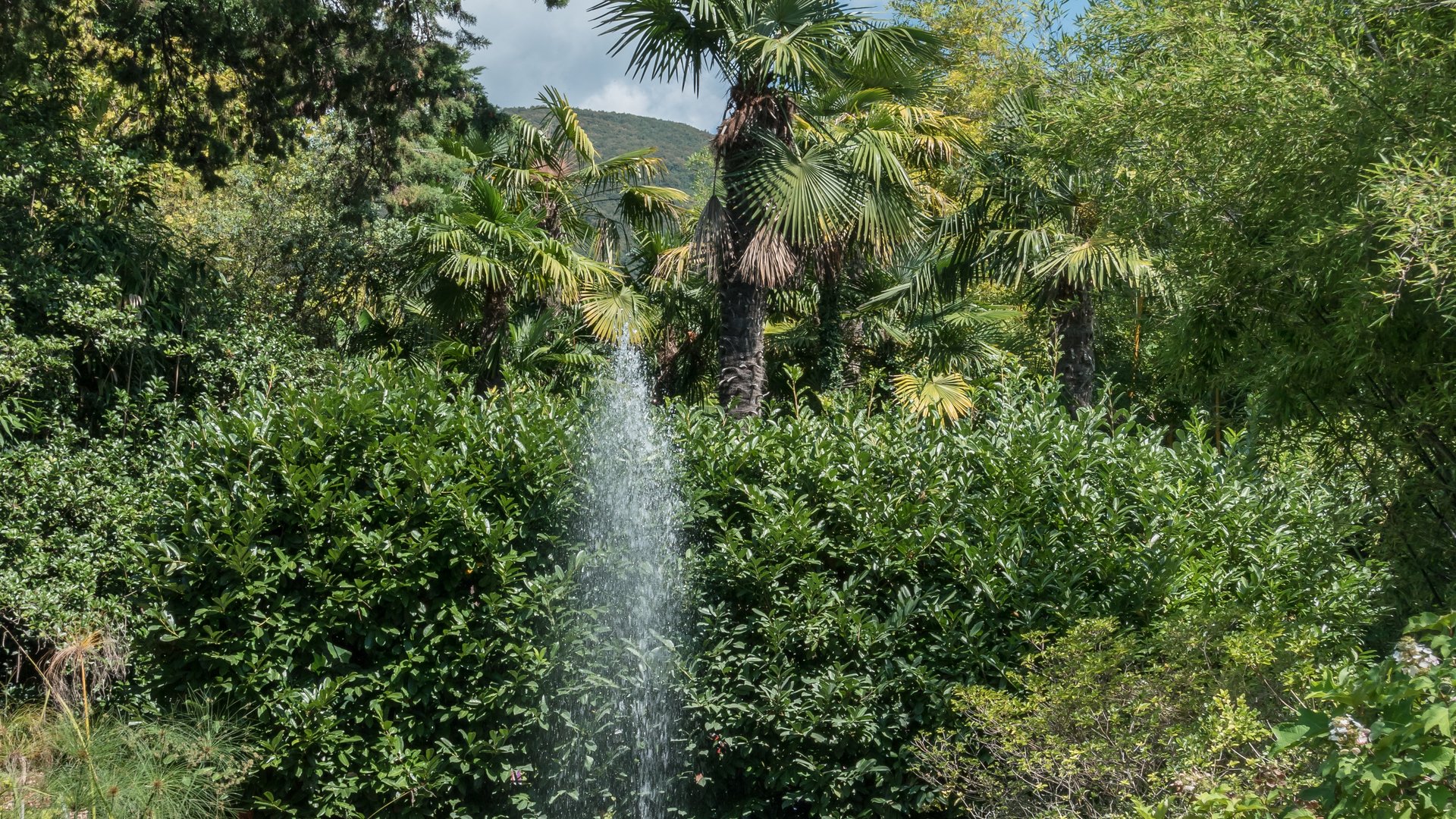 Oberitalienische Seen - Mediterrane Gartenkunst Oberitalienische Seen - Mediterrane Gartenkunst