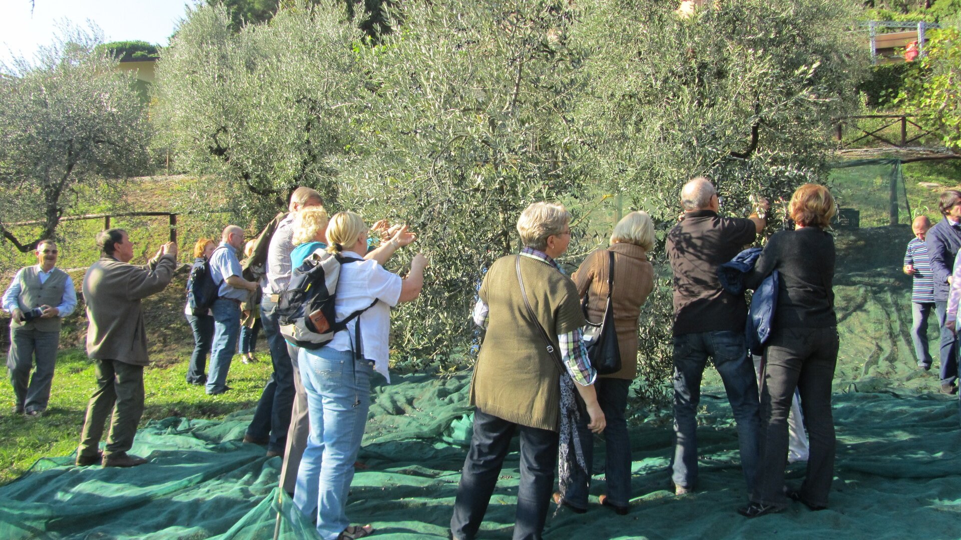 Experiences Beyond Sightseeing | DMC for Italy, Iberia, & the Med Experiences Beyond Sightseeing | DMC for Italy, Iberia, & the Med