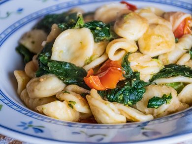 Umbria - Umbria in fiore