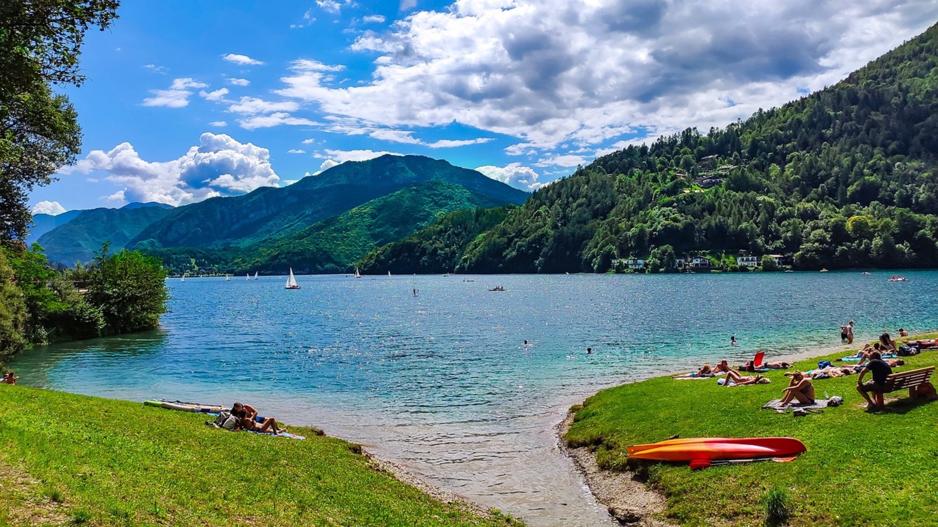 Tour - Olivenernte am Gardasee und in der Toskana