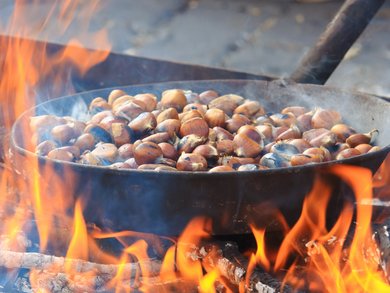 Piemont - Alba zur Trüffelmesse