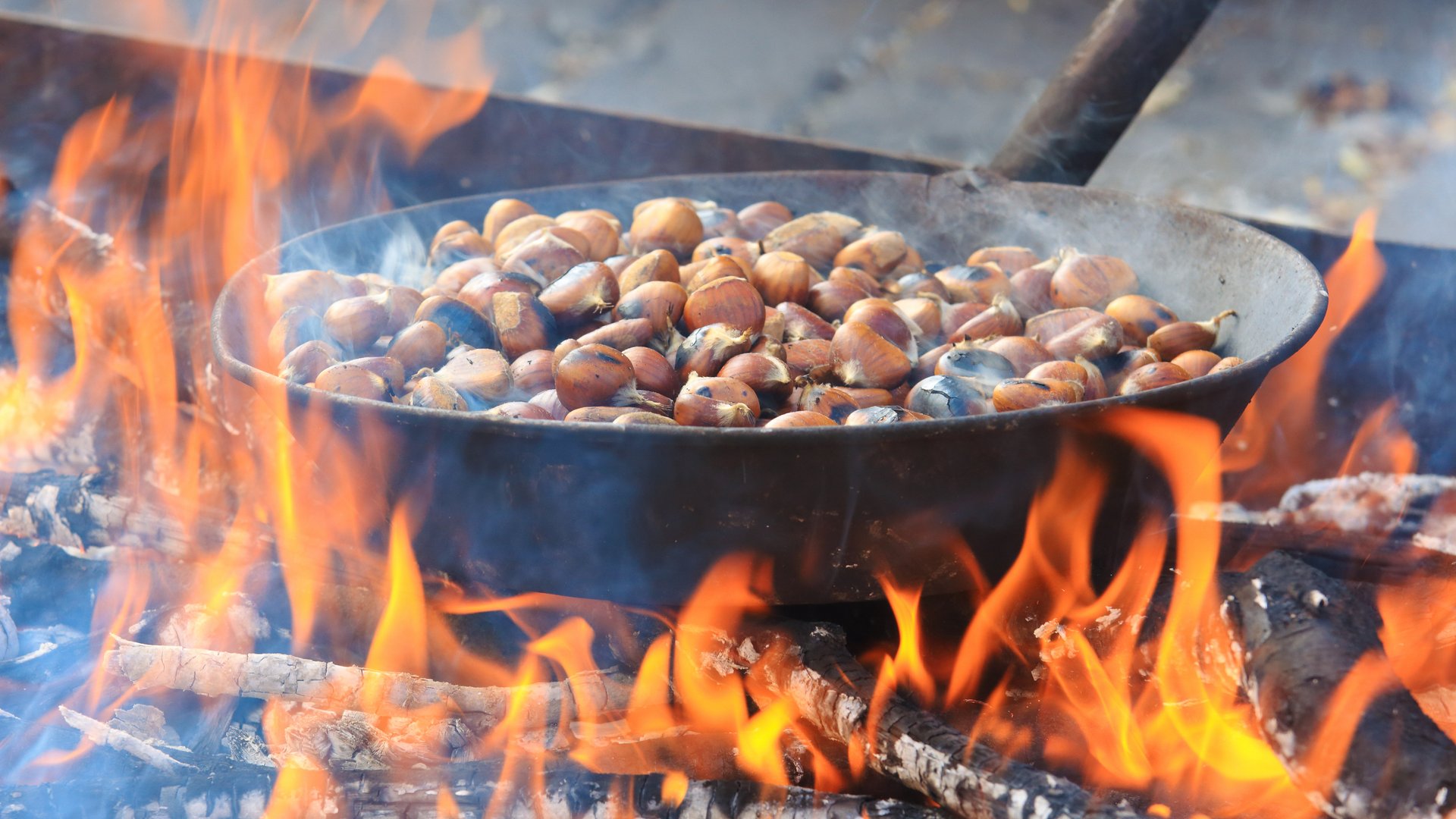 Piemont - Ins Piemont zum Kastanienfest
