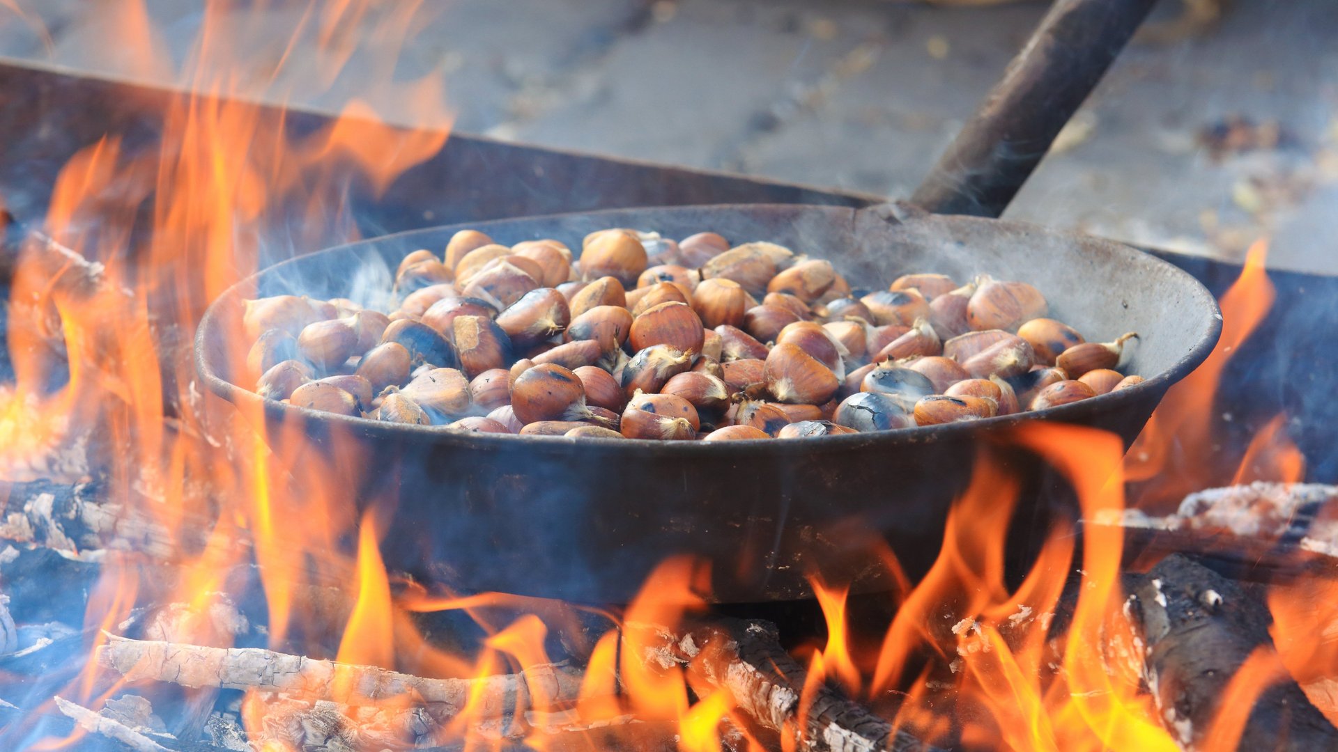 Piemont - Ins Piemont zum Kastanienfest