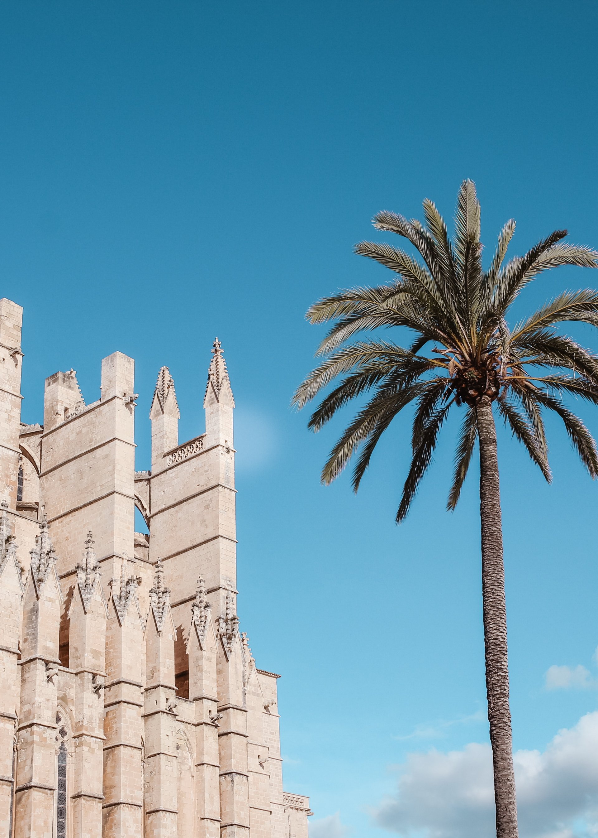 Mediterranean Group Tours | Book your DMC incoming services with michelangelo.travel