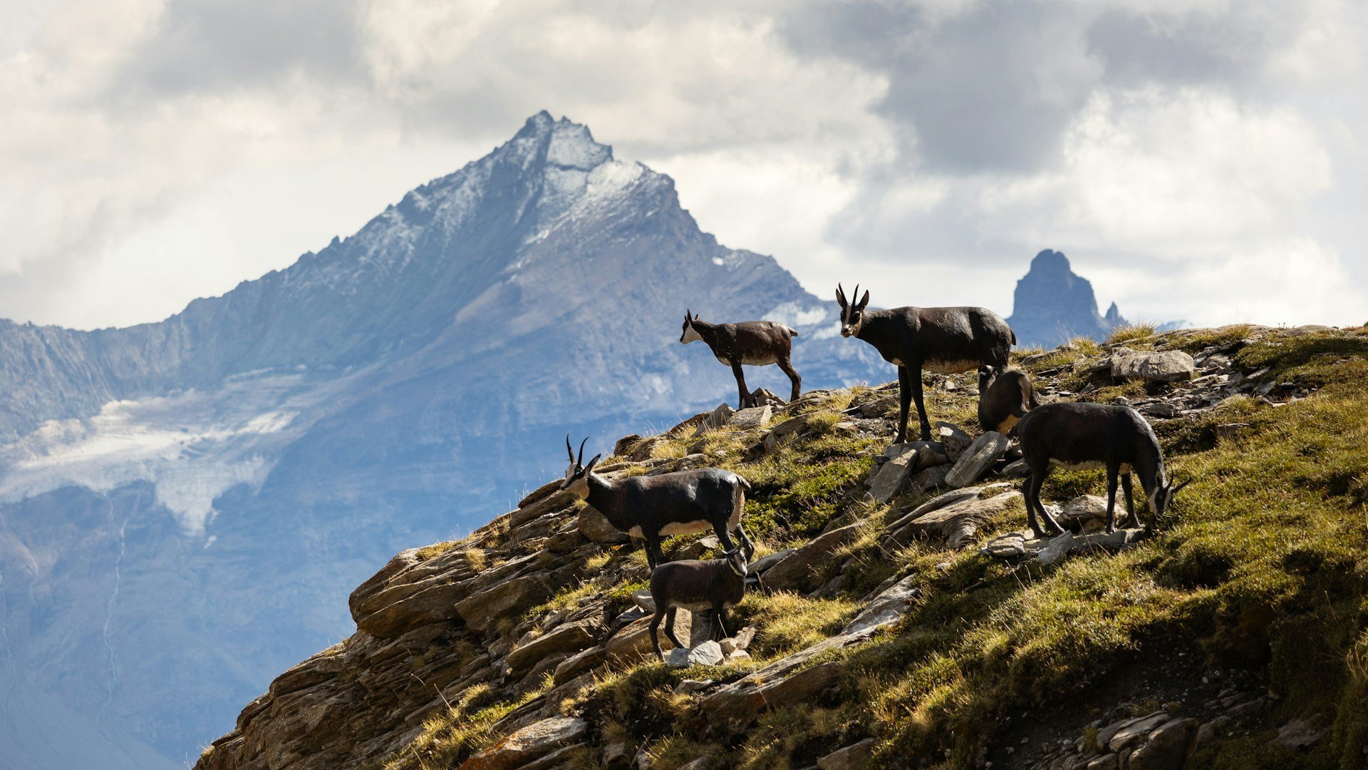 Piemonte e Valle d'Aosta - Valle d’Aosta tra castelli e Monte Bianco