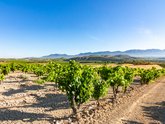 DMC in Italy for unforgettable group tours | Michelangelo DMC in Italy for unforgettable group tours | Michelangelo