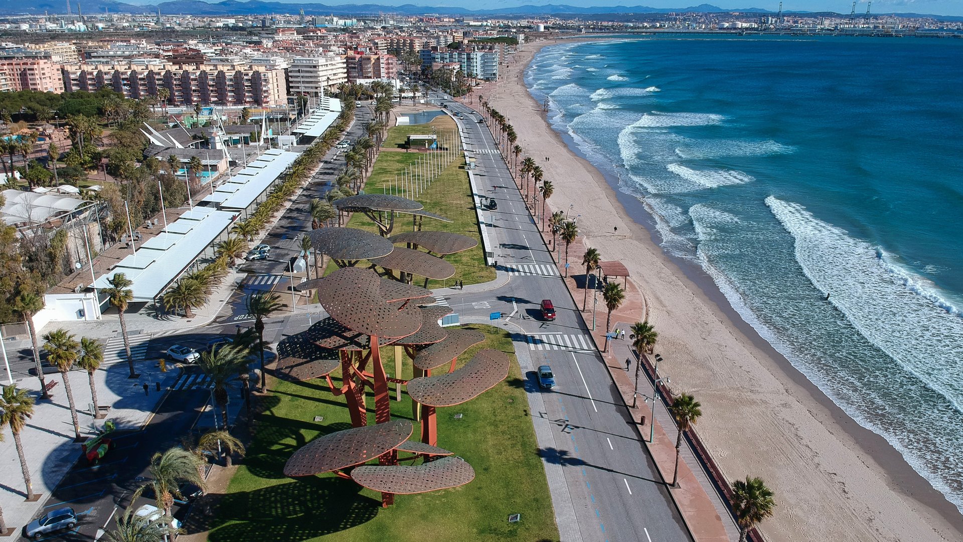 Group Tour Experiences: Olive Harvest Tour in Catalonia & Barcelona