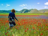 Michelangelo International Travel | Leading DMC for Italy & the Mediterranean